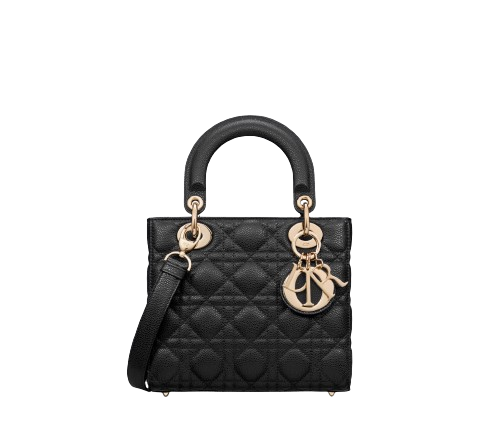 dior_lady_dior.png
