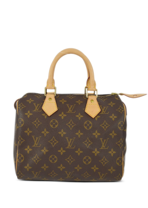 louis_vuitton_speedy.png
